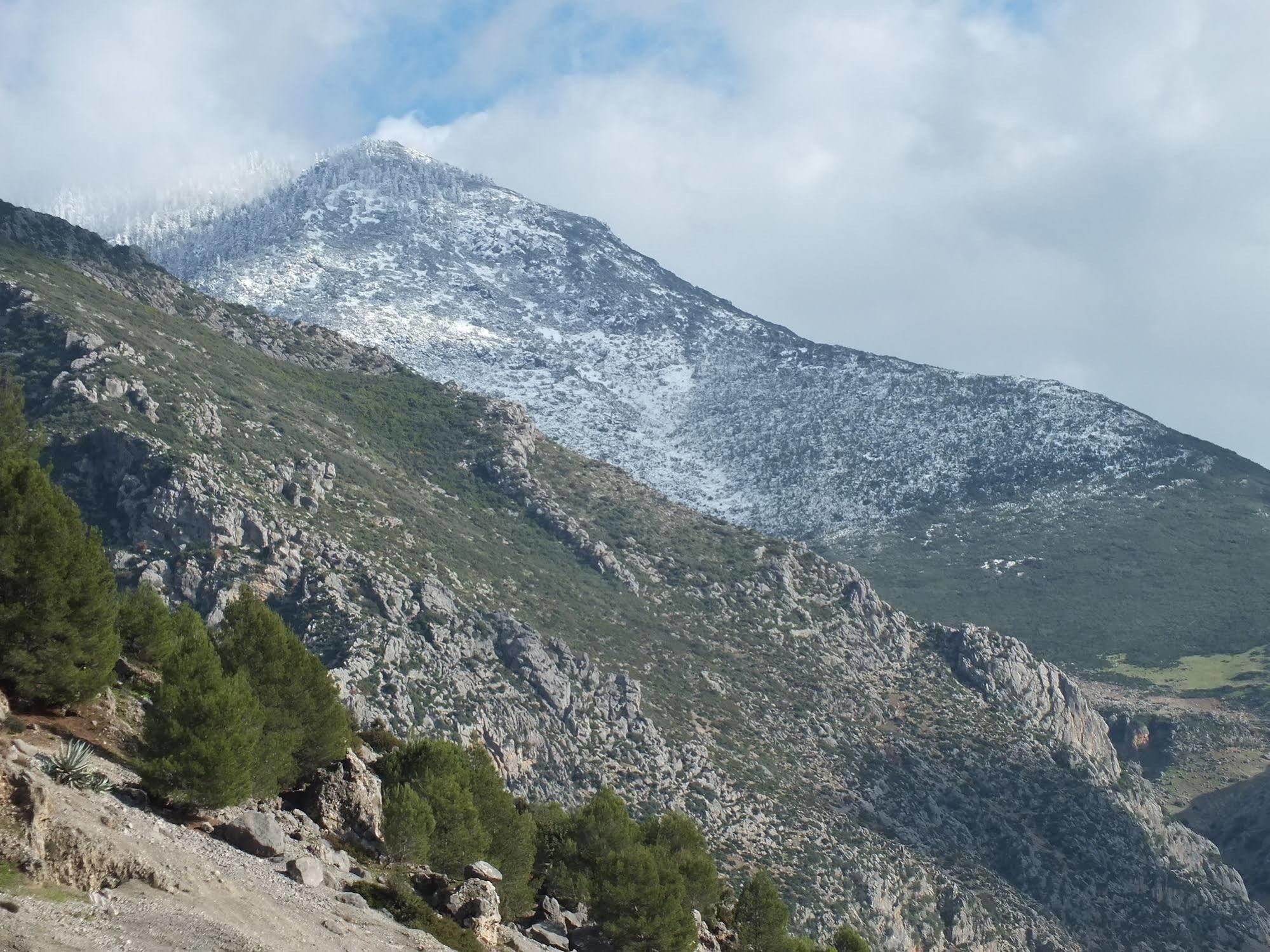 Hotel Tarek Chefchaouen Luaran gambar